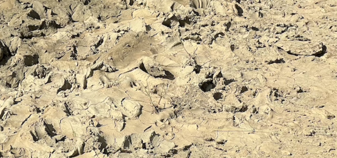 La Corse-du-Sud en "alerte sécheresse renforcée" La Corse-du-Sud en "alerte sécheresse renforcée"