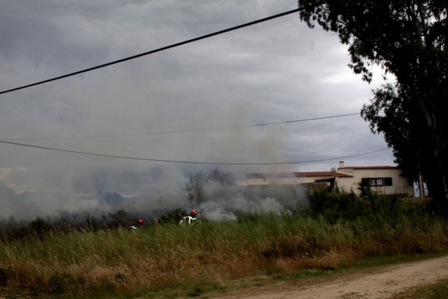 Début d'incendie route de Montemaggiore Début d'incendie route de Montemaggiore