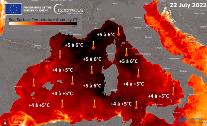 Capture écran Copernicus Capture écran Copernicus