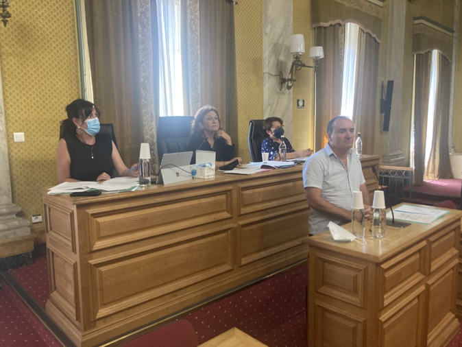 Le Cesec a travaillé sur un projet d'avis concernant la mobilité électrique. Photo : Julia Sereni Le Cesec a travaillé sur un projet d'avis concernant la mobilité électrique. Photo : Julia Sereni