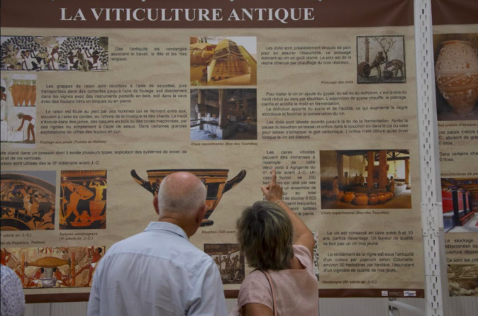 «Mare è Vinu» : la viticulture ancienne corse racontée à la Cave d'Aleria «Mare è Vinu» : la viticulture ancienne corse racontée à la Cave d'Aleria