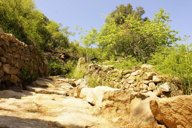 Sentier du Patrimoine de Cutuli e Curtichjatu : A Stretta di i Mulini au cœur du village Sentier du Patrimoine de Cutuli e Curtichjatu : A Stretta di i Mulini au cœur du village