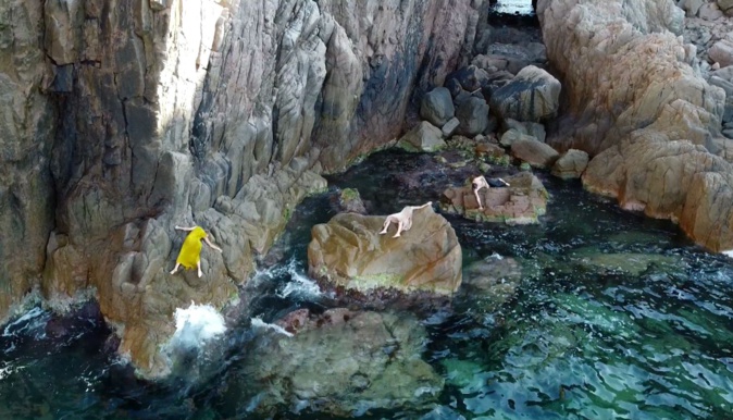 Document CNI Document CNI