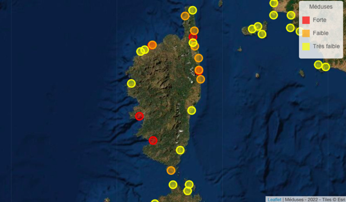 Cliquez sur l'image pour accéder au site Meduseo Cliquez sur l'image pour accéder au site Meduseo