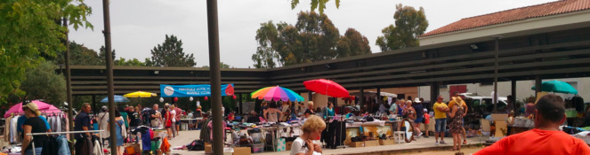 Migliacciaru : succès pour le vide-greniers de l’Association pour le Don de Sang 