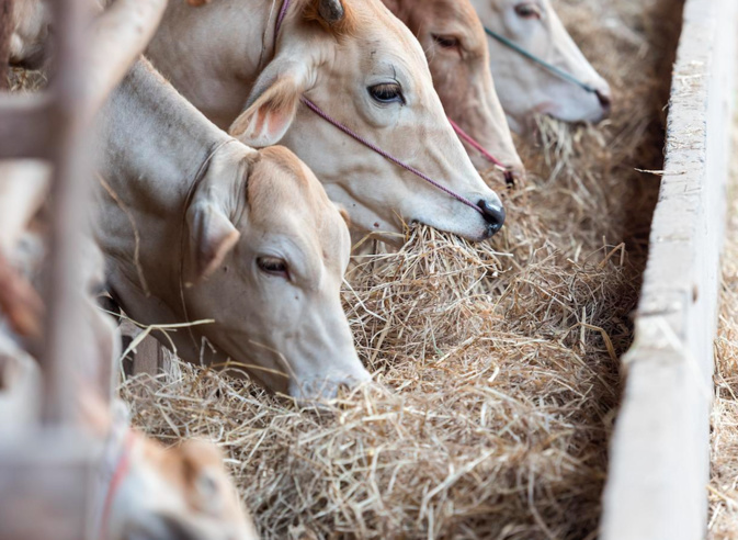 Photo illustration Photo illustration