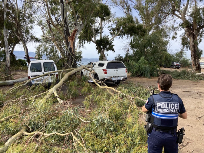 Un arbre s'est abattu sur une voiture sur le parking de la plage du Ricanto (Photo Michel Luccioni) Un arbre s'est abattu sur une voiture sur le parking de la plage du Ricanto (Photo Michel Luccioni)