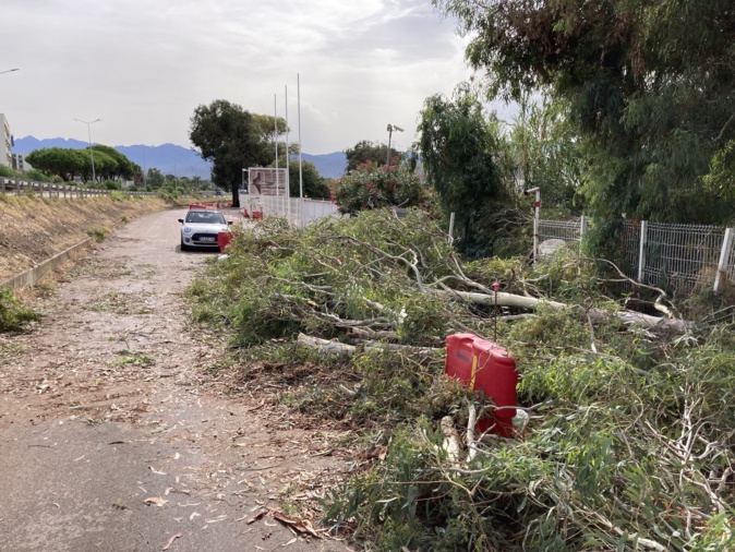 (Photo Michel Luccioni) (Photo Michel Luccioni)