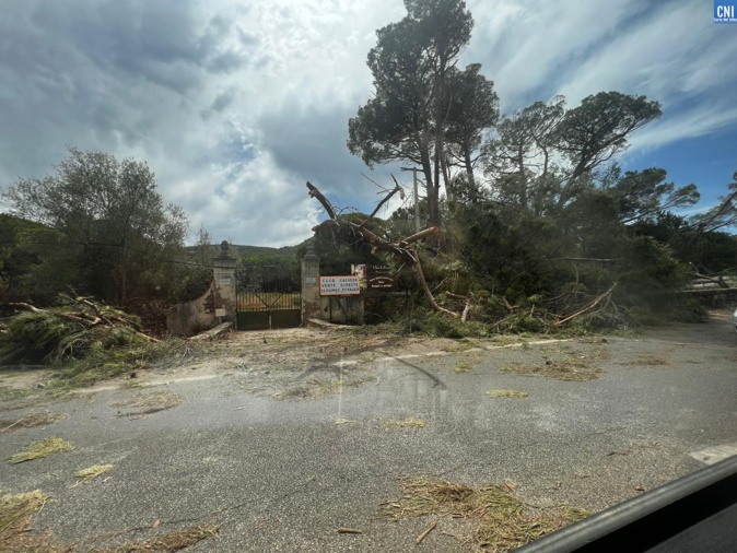 Photo illustration Photo illustration