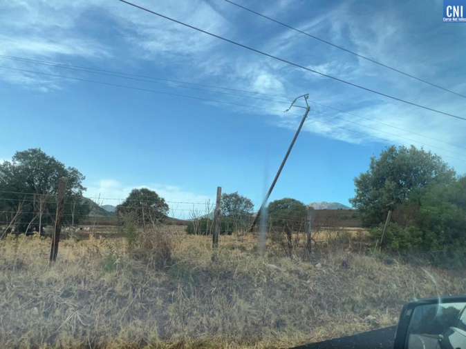 Photo archives Michel Luccioni