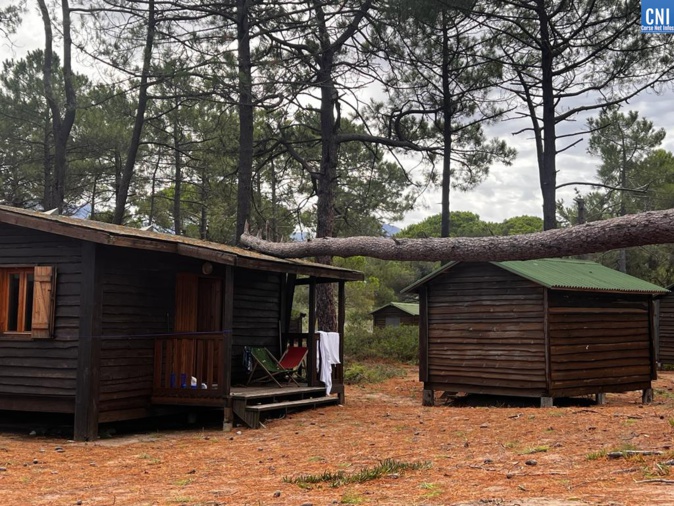 Photo archives CNI Photo archives CNI