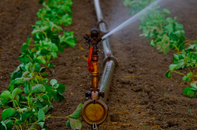 Sécheresse : les restrictions sur l’eau assouplies pour tous les agriculteurs corses