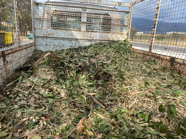 La déchèterie de Lucciana récupère les déchets verts pour en faire du compost 
