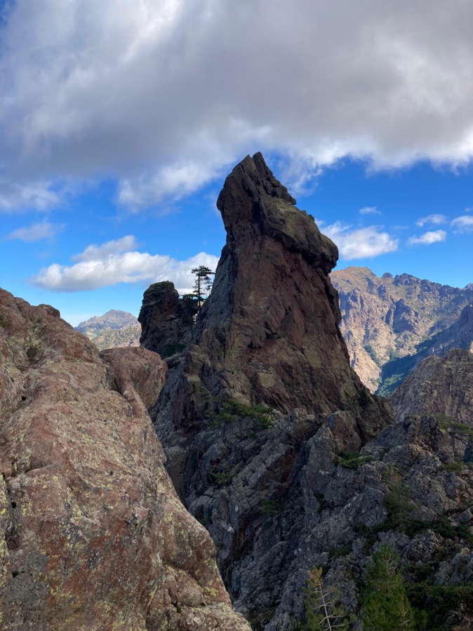 La photo du jour : u cane di Bocca Pittinaghja La photo du jour : u cane di Bocca Pittinaghja