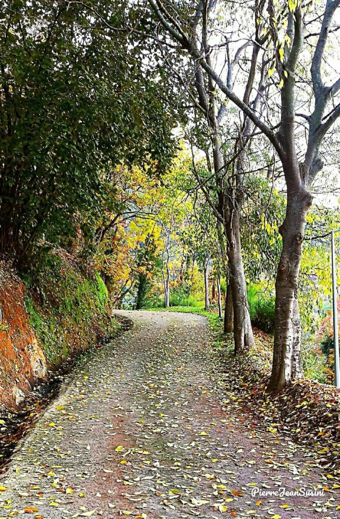 La photo du jour : les couleurs de l'automne à Cervioni