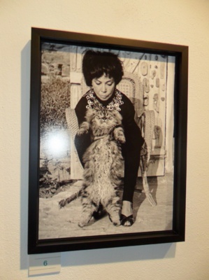 Bastia : Leonor Fini et Louis Schiavo à l'honneur au musée Bastia : Leonor Fini et Louis Schiavo à l'honneur au musée