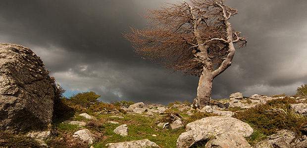 Avis de vents forts et d'orages violents : Appel à la vigilance et à la prudence