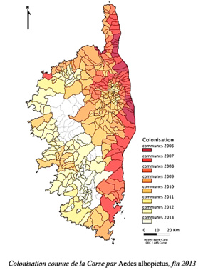Moustique, se protéger et éviter sa prolifération Moustique, se protéger et éviter sa prolifération