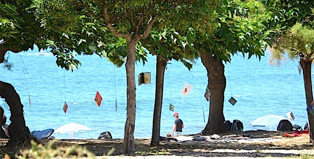Ajaccio : La rive sud innove encore avec "Les arbres qui lisent"