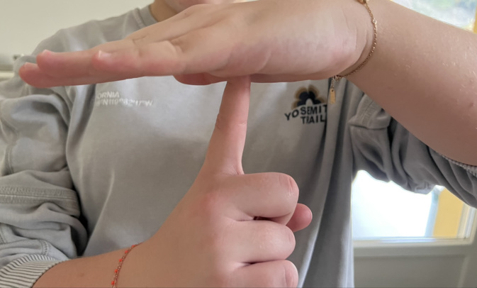 La langue des signes est un patrimoine sociolinguistique La langue des signes est un patrimoine sociolinguistique