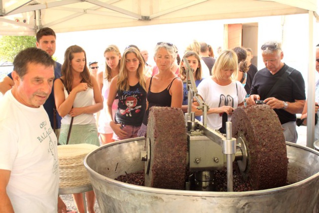 C'est parti pour A Fiera di l'Alivu à Montegrossu C'est parti pour A Fiera di l'Alivu à Montegrossu