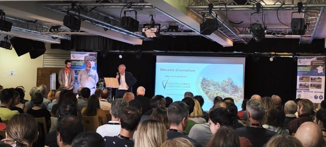 Lors de la soirée d'ouverture Lors de la soirée d'ouverture