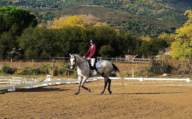 Circuit du "grand régional corse de dressage" : première étape, réussie, à Corti Circuit du "grand régional corse de dressage" : première étape, réussie, à Corti