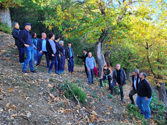 Crédit-photos sera : ODARC Crédit-photos sera : ODARC