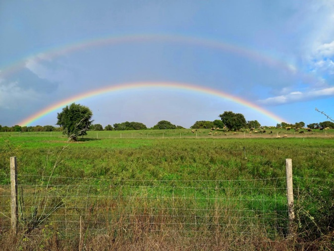 Du côté d'Alistro (Franziska Hanske)