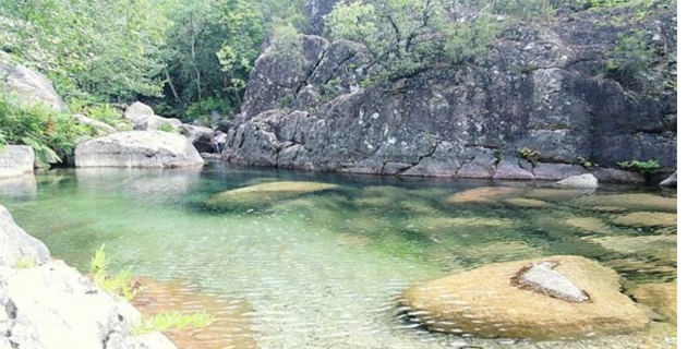 Bilharziose  : " Vous étiez en Corse, vous ne pouvez pas faire de don du sang en Suisse! "