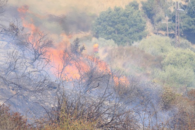 L'incendie d'Occiglioni fixé. Bilan provisoire : 14 hectares L'incendie d'Occiglioni fixé. Bilan provisoire : 14 hectares