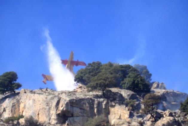 L'incendie d'Occiglioni fixé. Bilan provisoire : 14 hectares L'incendie d'Occiglioni fixé. Bilan provisoire : 14 hectares