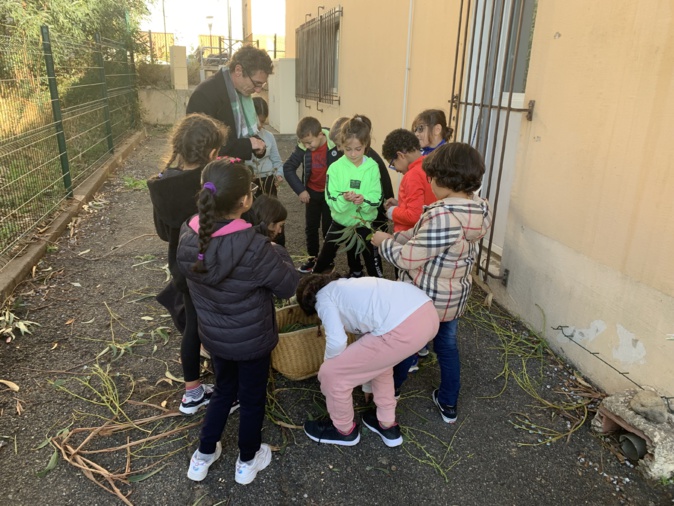 Bastia : Un atelier de distillation pour les élèves de l’école François Amadei Bastia : Un atelier de distillation pour les élèves de l’école François Amadei