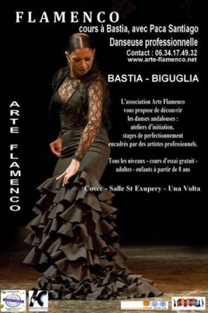 Bastia : Arte Flamenco reprend ses activités