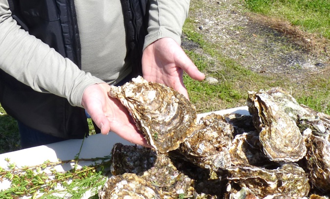 La Nustrale de Diana (Archives CNI) La Nustrale de Diana (Archives CNI)