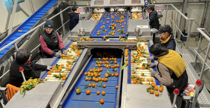 Folelli : Le Préfet de Haute-Corse visite l’entreprise Corsagru qui a bénéficié du Plan France Relance Folelli : Le Préfet de Haute-Corse visite l’entreprise Corsagru qui a bénéficié du Plan France Relance