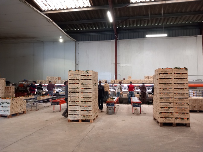 Laurent Mariotte pose son micro à Venzolasca, pour un programme spécial Corse avec Patrick Fiori Laurent Mariotte pose son micro à Venzolasca, pour un programme spécial Corse avec Patrick Fiori