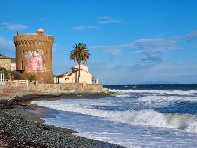 La photo du jour : les rouleaux de Miomu