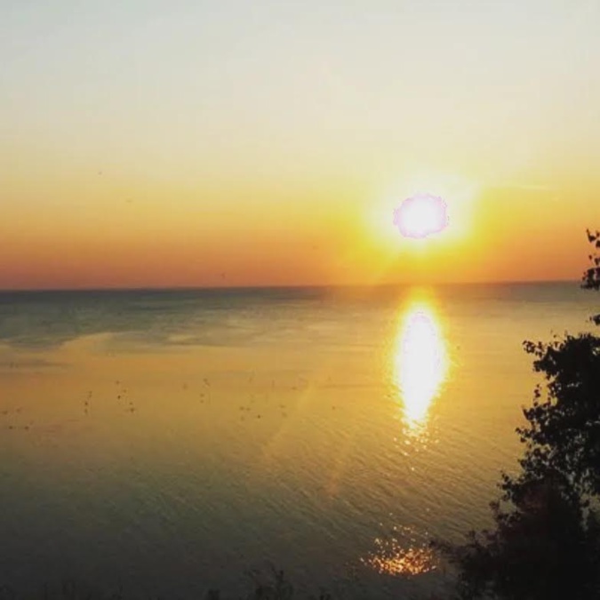 (Graziella Desotgiu) (Graziella Desotgiu)