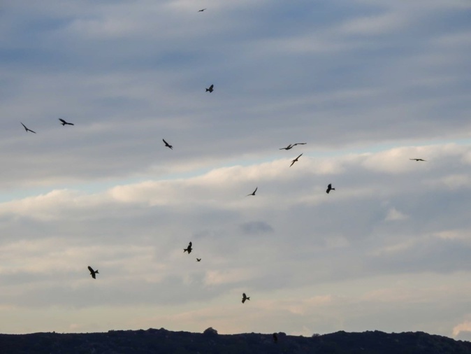 Photo : Cynthia Trebucq/CEN Photo : Cynthia Trebucq/CEN