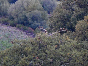 Photo : Cynthia Trebucq/CEN Photo : Cynthia Trebucq/CEN