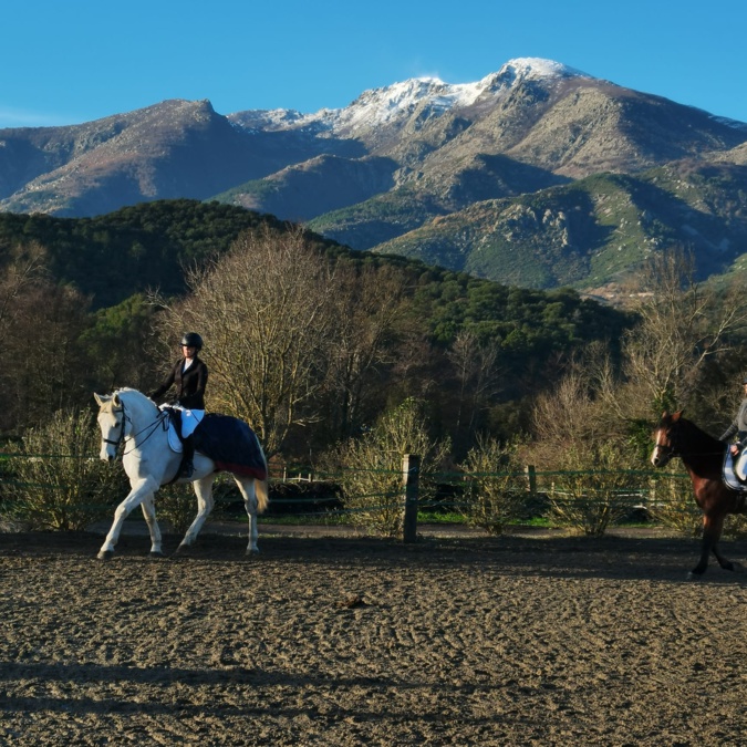 Championnat de Corse de dressage : le classement Championnat de Corse de dressage : le classement