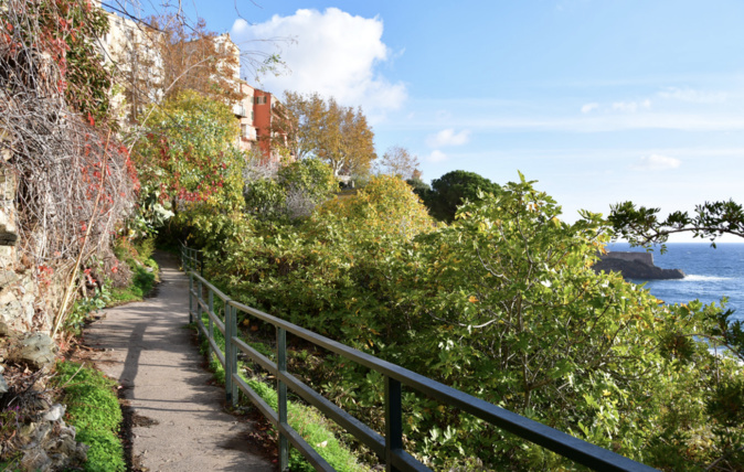 A fallatà di Ficaghjola A fallatà di Ficaghjola