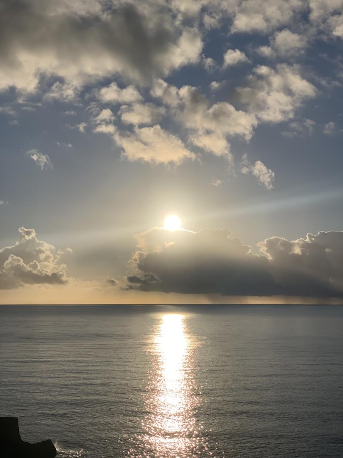 (Laurence Calligari) (Laurence Calligari)