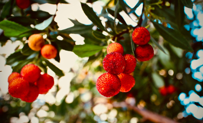 Photo illustration Photo illustration