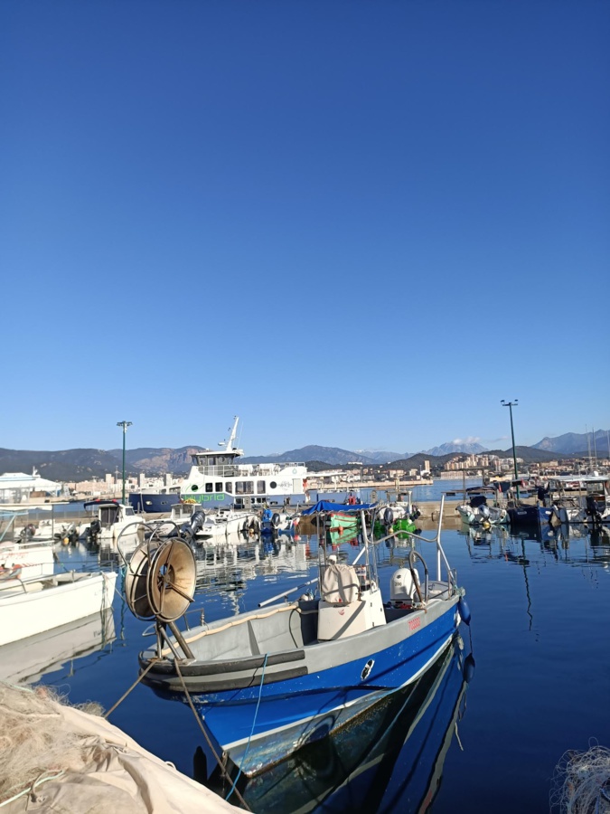 Port Tino-Rossi à Ajaccio : une luminosité incroyable et un ciel bleu sans pollution (Mireille Quirac )
