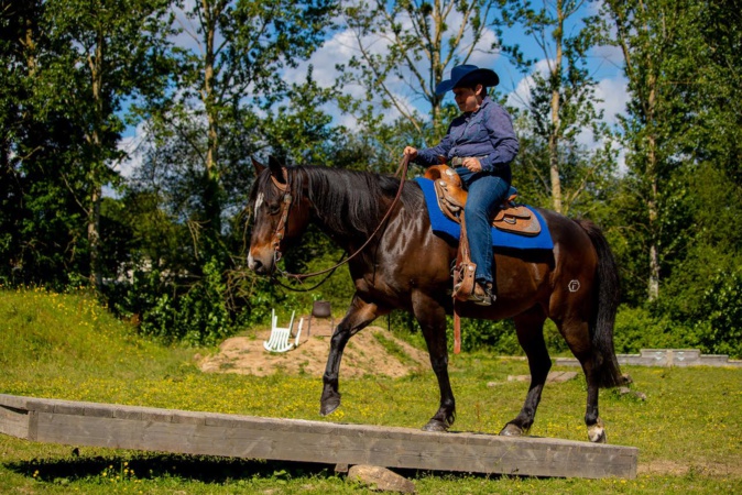 Françoise Ferchat animera le stage Françoise Ferchat animera le stage