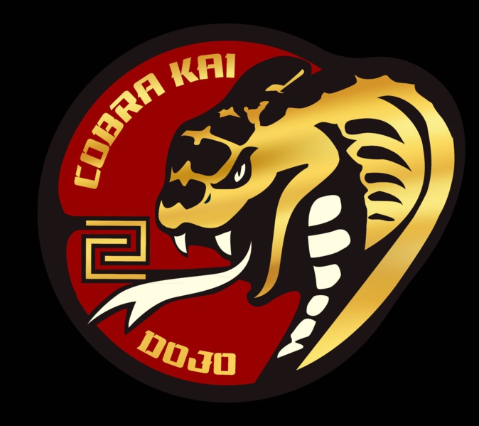 Dojo Cobra Kai : un nouveau club de karaté dans les quartiers sud de Bastia