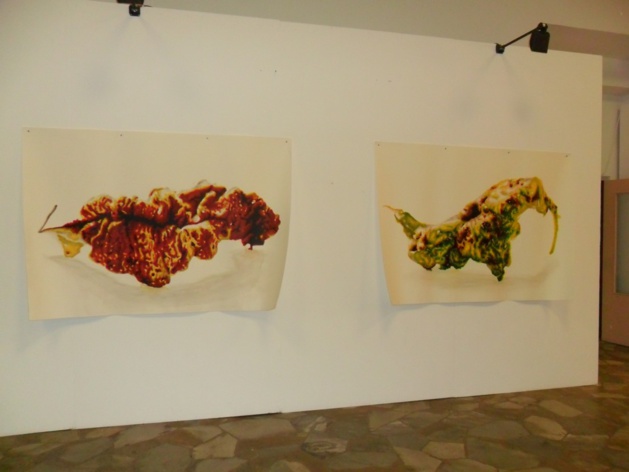 Bastia : Ouverture de la saison du théâtre avec un spectacle d'I Campagnoli et une exposition éphémère Bastia : Ouverture de la saison du théâtre avec un spectacle d'I Campagnoli et une exposition éphémère