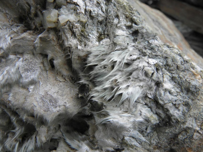 Amas de fibres flexueuses d'amiante naturel en Haute Corse (Crédit photo : BRGM - Didier Lahondère)